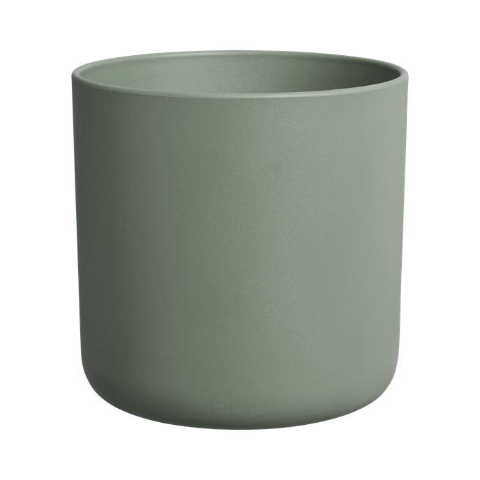 amazing avocado pot leaf green